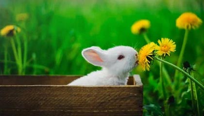 开云官网-国际足联成立“球员之声”小组 孙继海入选